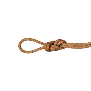 8.0 Alpine Dry Rope 30m