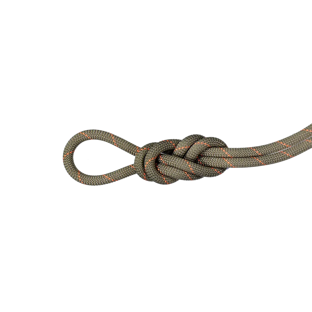 9.9 Gym Workhorse Classic Rope