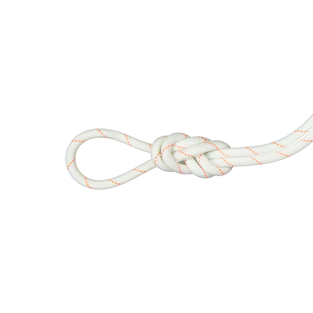 9.9 Gym Workhorse Dry Rope