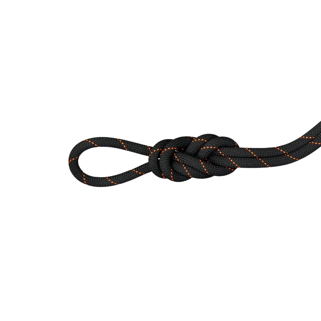 9.9 Gym Workhorse Dry Rope