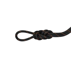 9.9 Gym Workhorse Dry Rope