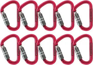 Auto Locking Carabiner 28KN (10-Pack) - Fusion Climb Eureka - Professional Rock Climbing Carabiner - Aluminium Auto Locking Carabiner for Climbing, Rappelling, Pear Shaped - UIAA ANSI Compliant
