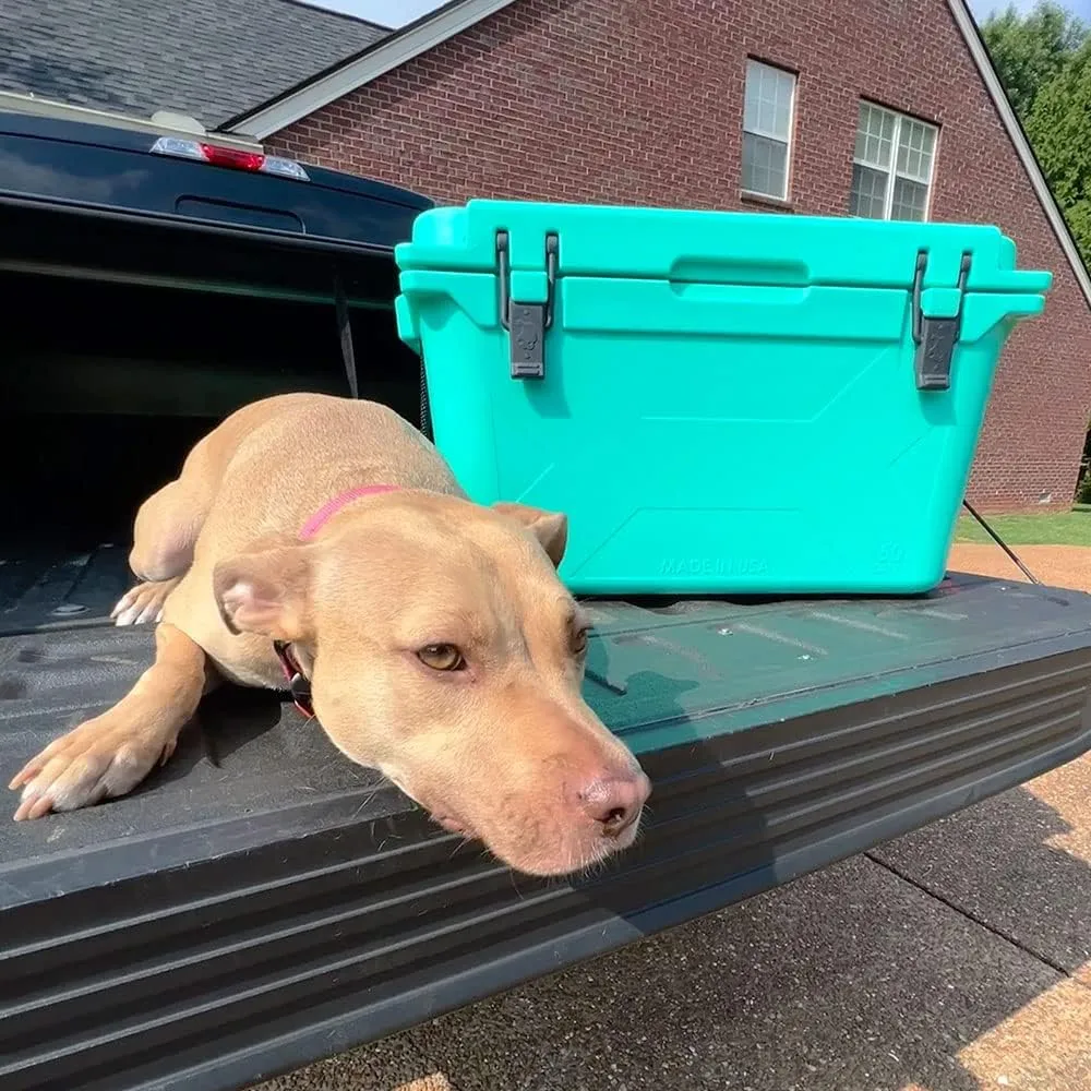 BISON COOLERS Rotomolded Cooler Extreme Engineered Durability with Hard Shell, Lid and Liner | Long Lasting Ice Chest with Double Insulated Walls | Made in The USA