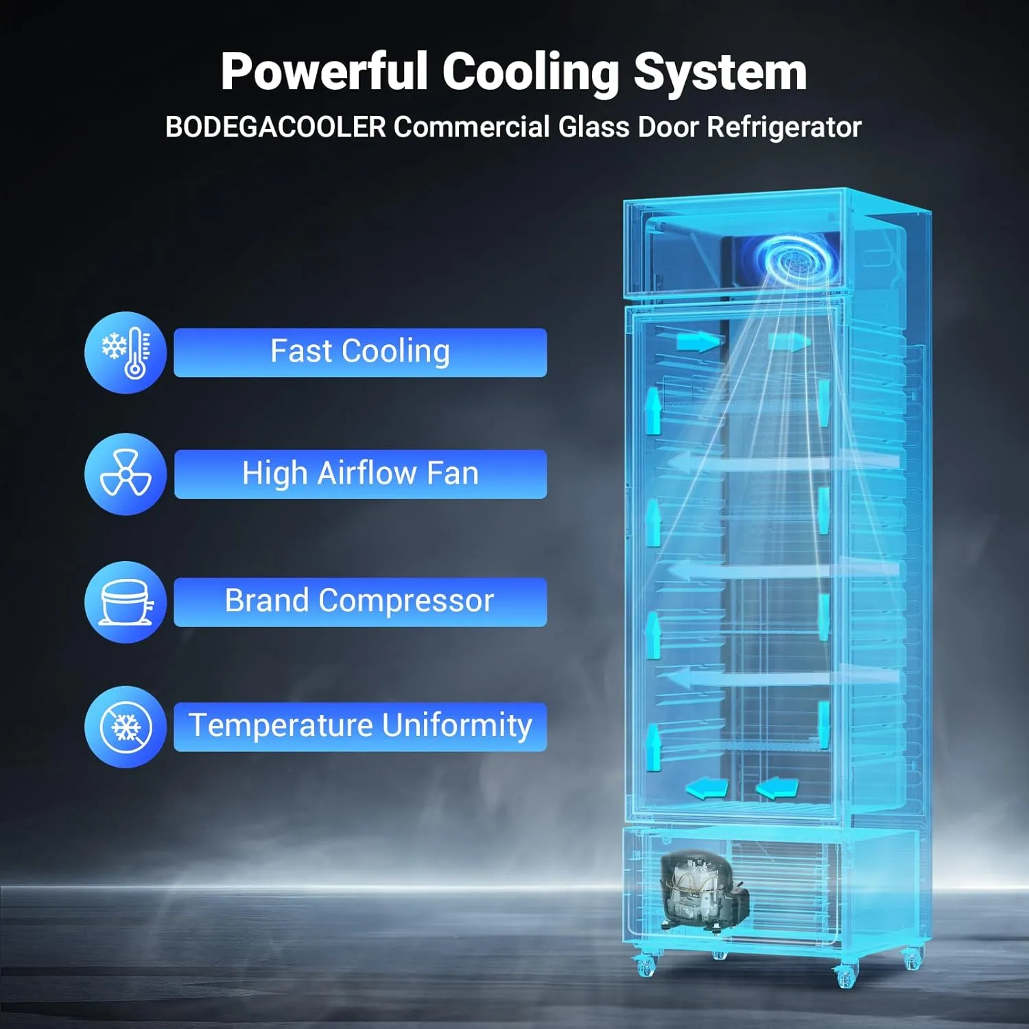 BODEGACOOLER Beverage refrigerator and cooler, commercial refrigerators for drink,Bar, drink. Glass door display refrigerator with Soft LED Light. Commercial fridge as bar cooler for party.9.0 Cu. Ft.