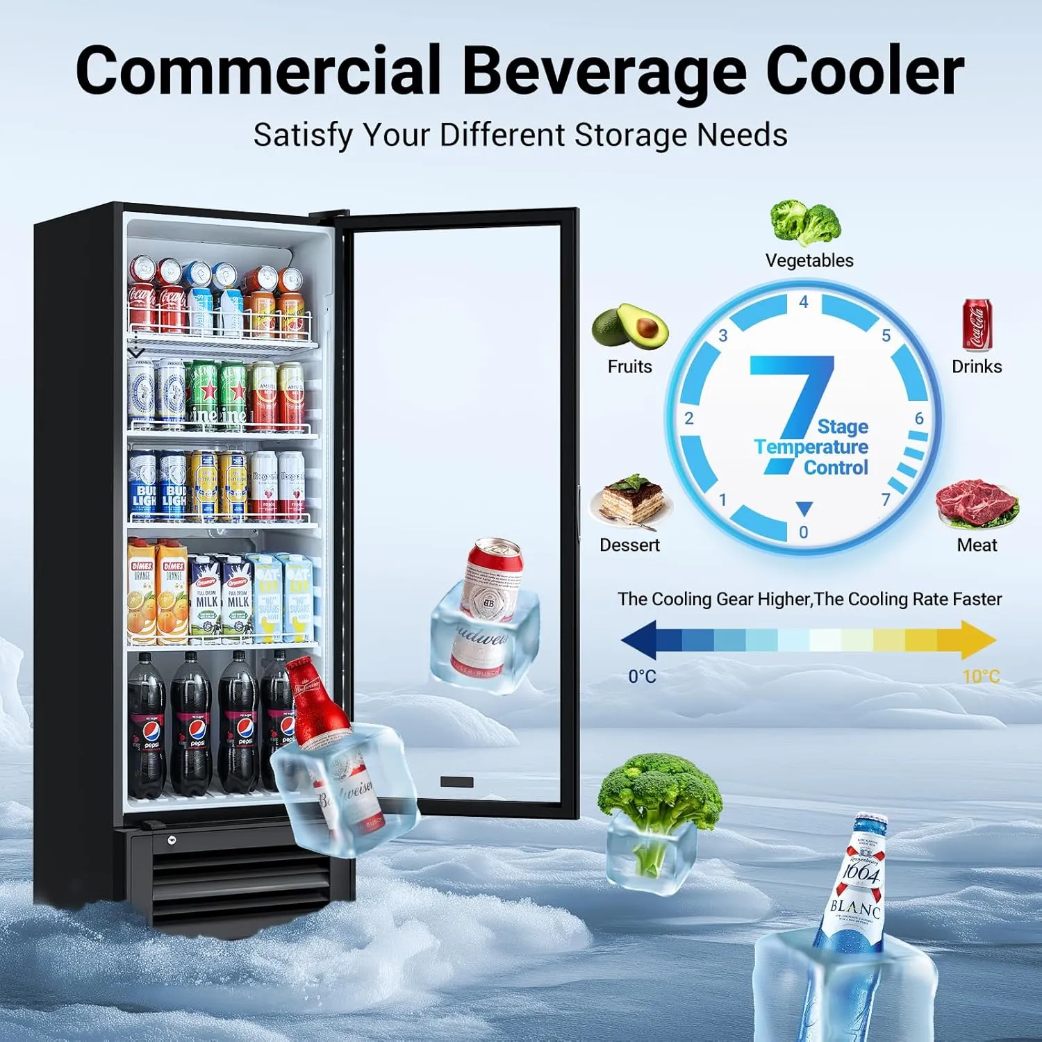 BODEGACOOLER Beverage Refrigerator and Cooler For Man Cave, Commercial Merchandiser Refrigerators with Soft LED Light, Upright Display refrigerator, Commercial Fridge as Back Bar Cooler.10.2 Cu.Ft.