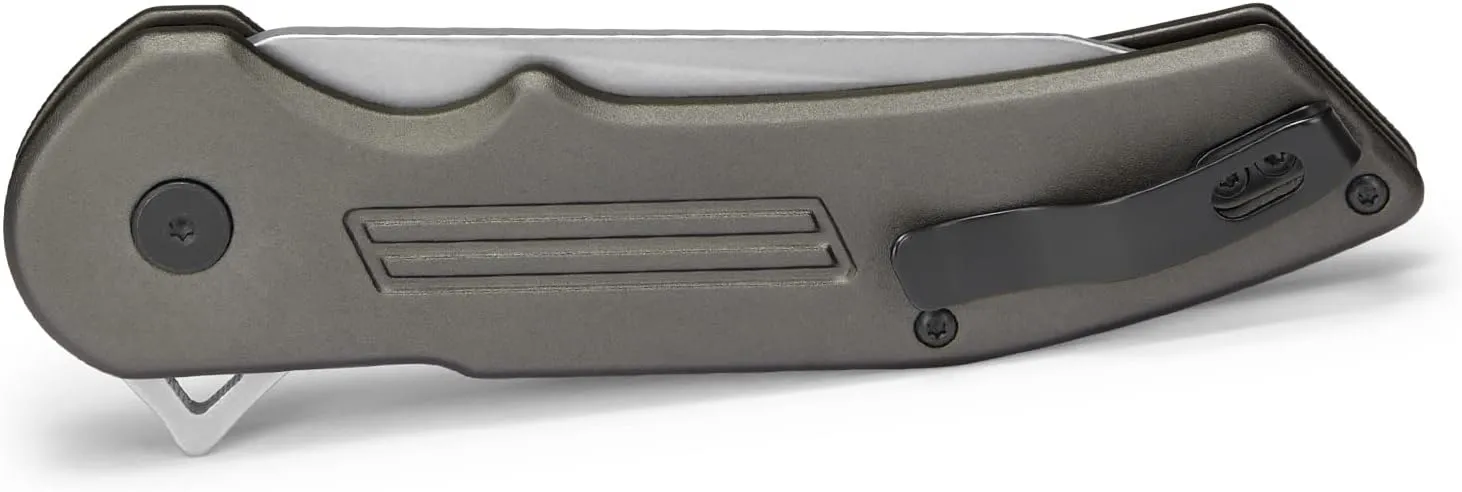 Buck Knives 262 Hexam Assist, Spring-Assist Folding Pocket Knife, 3.35" Stainless Steel Blade, Pocket Clip (Gray)