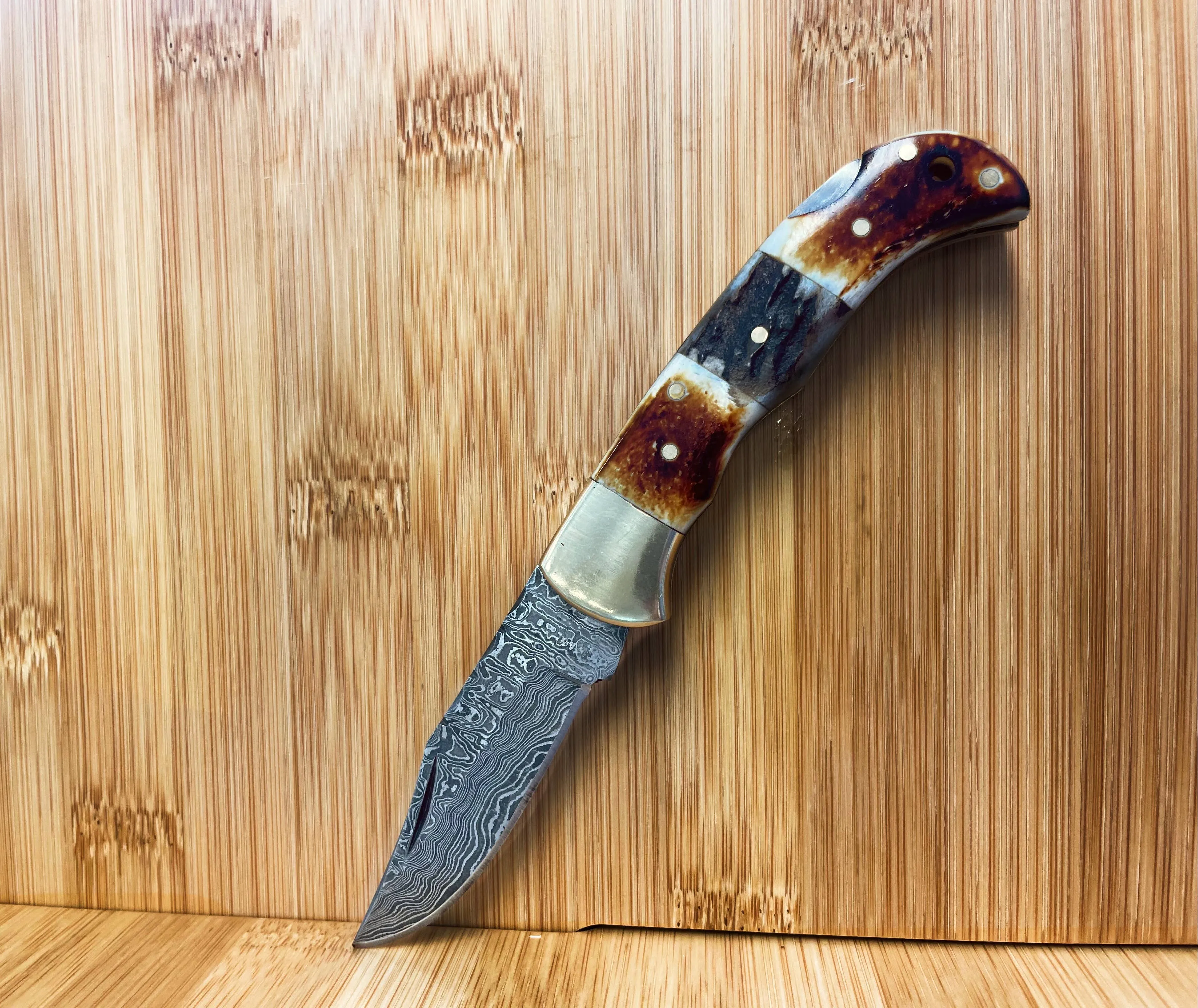 Burnt Bone and Stag Horn folding knife - Titan Int