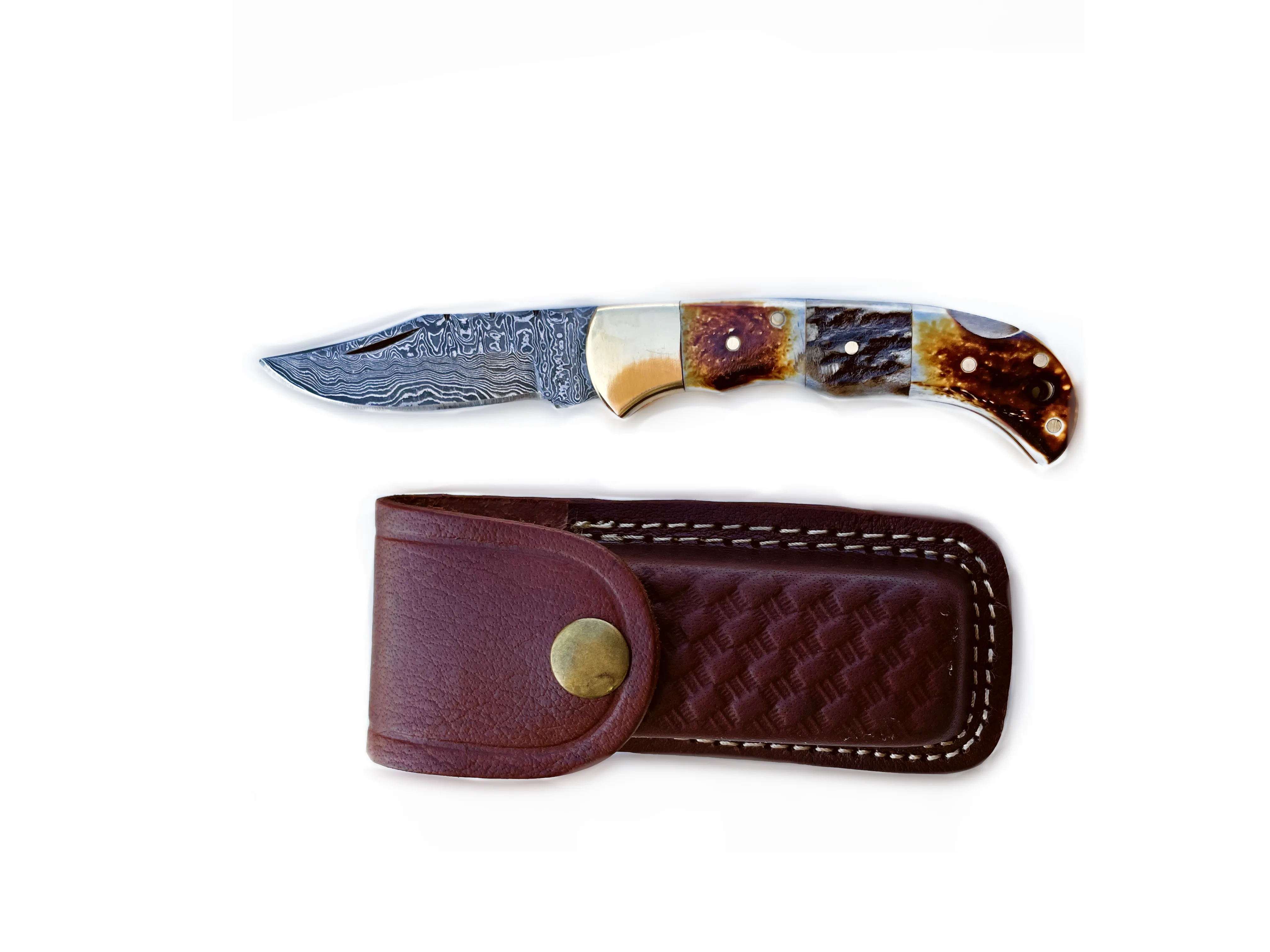 Burnt Bone and Stag Horn folding knife - Titan Int