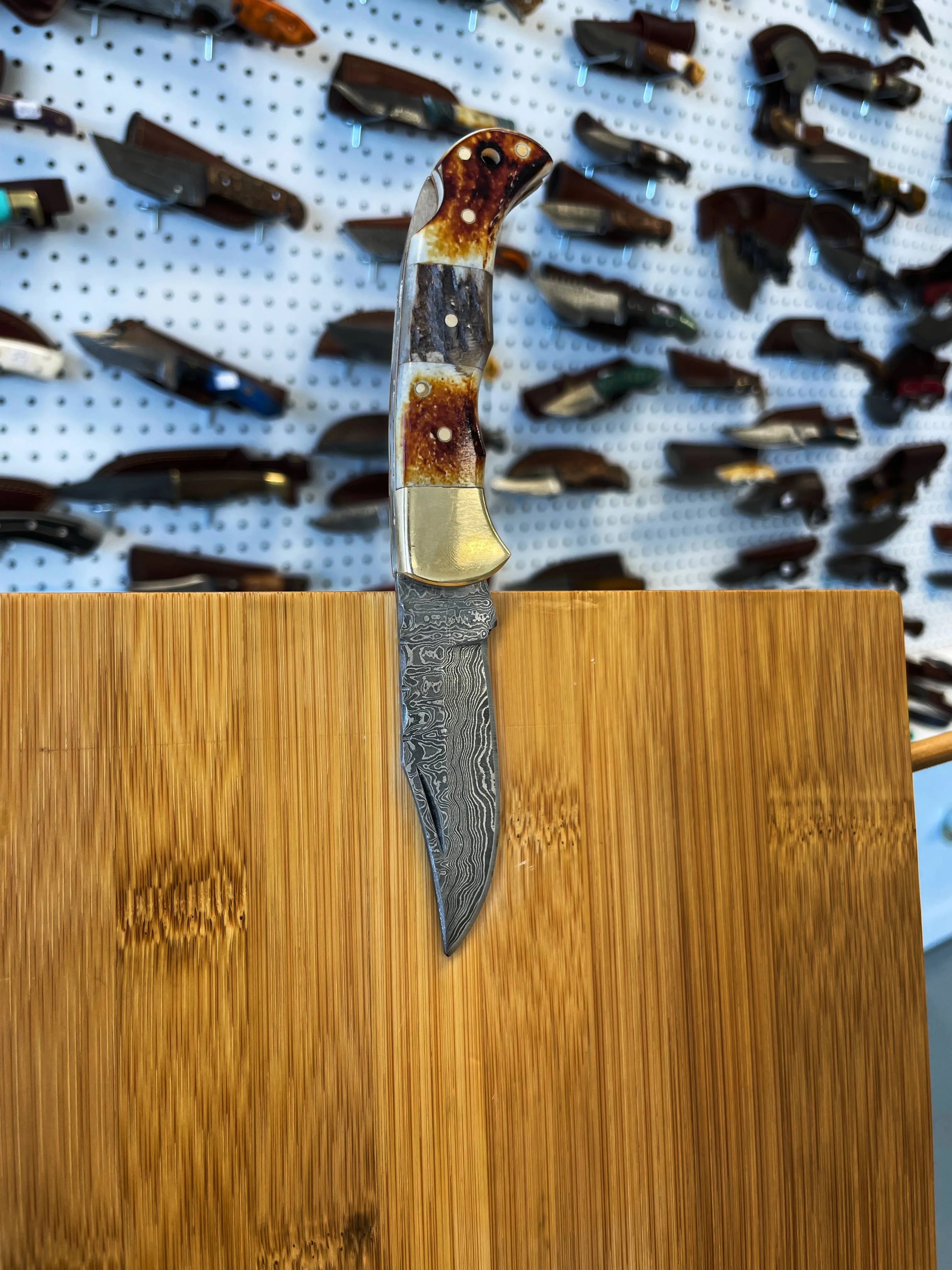 Burnt Bone and Stag Horn folding knife - Titan Int