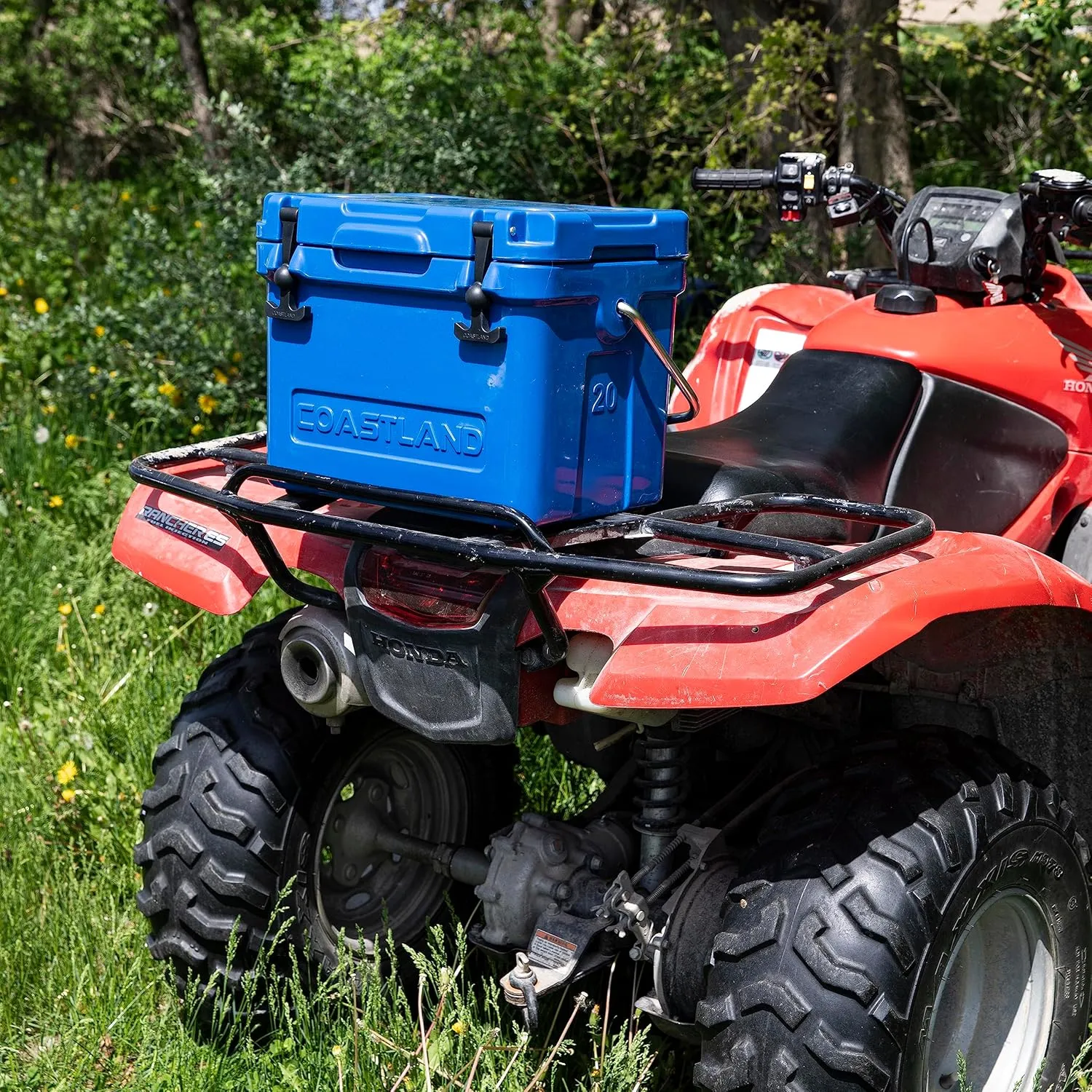 Coastland Bay Series Cooler Premium Everyday Use Insulated Rotomolded Cooler, Small Ice Chest for Tight Spaces, Soccer Games, & Tailgates