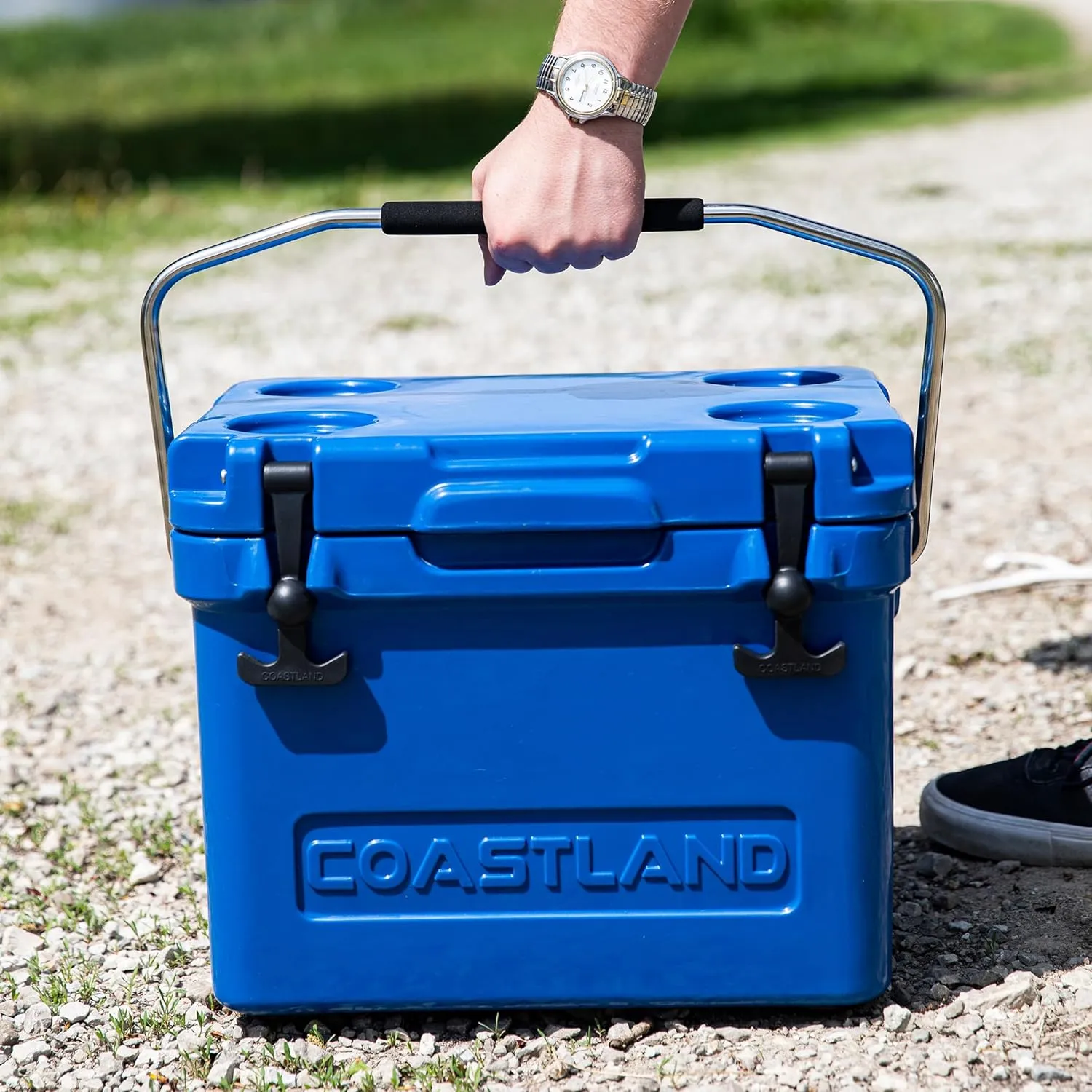 Coastland Bay Series Cooler Premium Everyday Use Insulated Rotomolded Cooler, Small Ice Chest for Tight Spaces, Soccer Games, & Tailgates