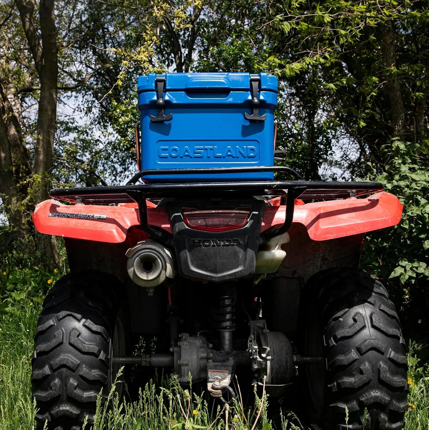 Coastland Bay Series Cooler Premium Everyday Use Insulated Rotomolded Cooler, Small Ice Chest for Tight Spaces, Soccer Games, & Tailgates