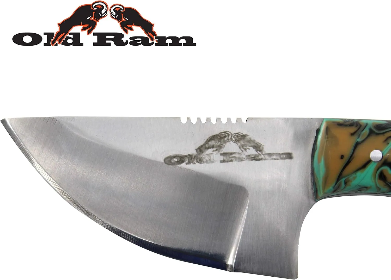 Collection Heavy Duty Sharp Fixed Blade Hunting Skinner Knife w/Leather Sheath