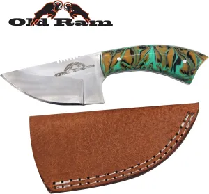 Collection Heavy Duty Sharp Fixed Blade Hunting Skinner Knife w/Leather Sheath