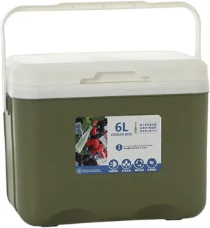 Cooler Box Insulated Box Cold Storage Portable 6L Ice Chest Small Hard Ice Box for Fishing Boat Sport Drink Picnic Barbecue