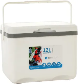 Cooler for Honda Ridgeline/Concerto/CR-X/CR-Z/Element/FR-V/Insight Insulated Hard Ice Box Large High-Performance Storage Box Portable Cool Picnic Box Festival Camping,A-31.5 * 23 * 25.5cm