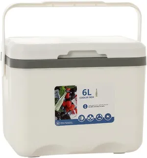 Cooler for NIO EC6/EC7/EL6/EL7/ES6/ES7/ES8/ET5/ET7/ET9/EP9 Insulated Hard Ice Box Large High-Performance Storage Box Portable Cool Picnic Box Festival Camping Accessories,A-27 * 18 * 23cm