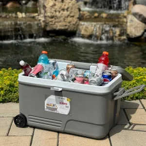 Darnaware icebox