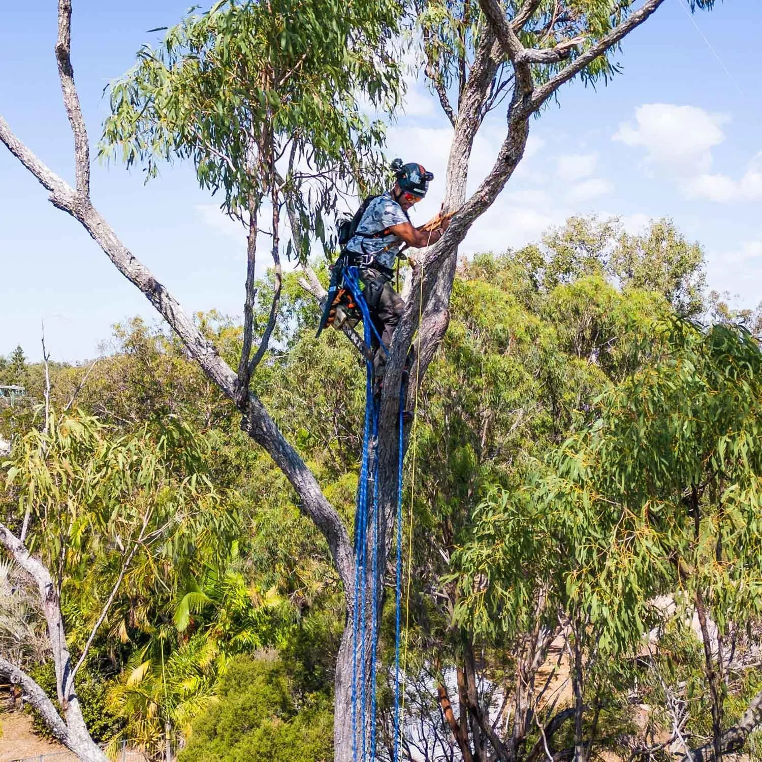 Double Braided Polyester Rope (1/2 Inch x 100 Feet) 48 Strands Strong Arborist Rope Climbing for Tree Work Pulling Swing Sailing, Blue