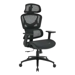 Executive Mesh Back and Seat Chair