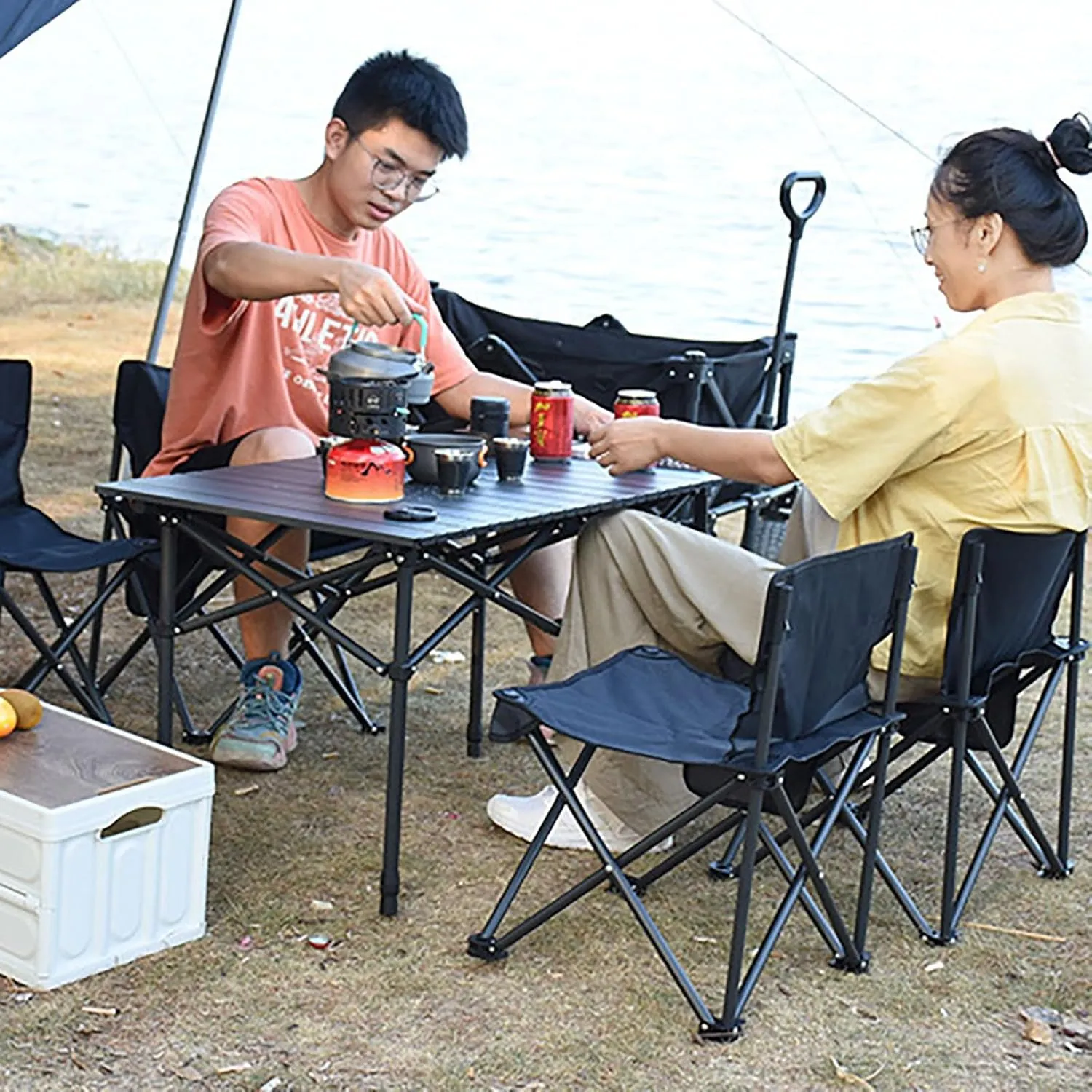Folding Camping Table with Mesh Bag, Portable Camping Table, Lightweight Aluminum Roll-Up Folding Table, for Outdoor Camping, Picnics, Beach, Backyard, TABLE_21.6IN/55CM, Black