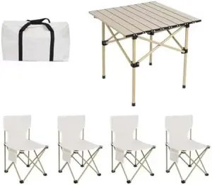 Folding Outdoor Camping Picnic Tables and Chairs, Carbon Steel Foldable Roll-up Table Top Small Picnic Table, Portable Fishing Chair Set, Easy to Assemble (White96cm5PCSWhite Chair)
