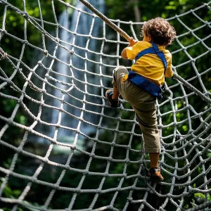 Heavy Duty Climbing Cargo Net,800lbs Load Capacity,Sturdy Polyester Safety Protection Mesh Rope for Treehouse, Playground Backyard Garden(Size:3.3 * 10ft)