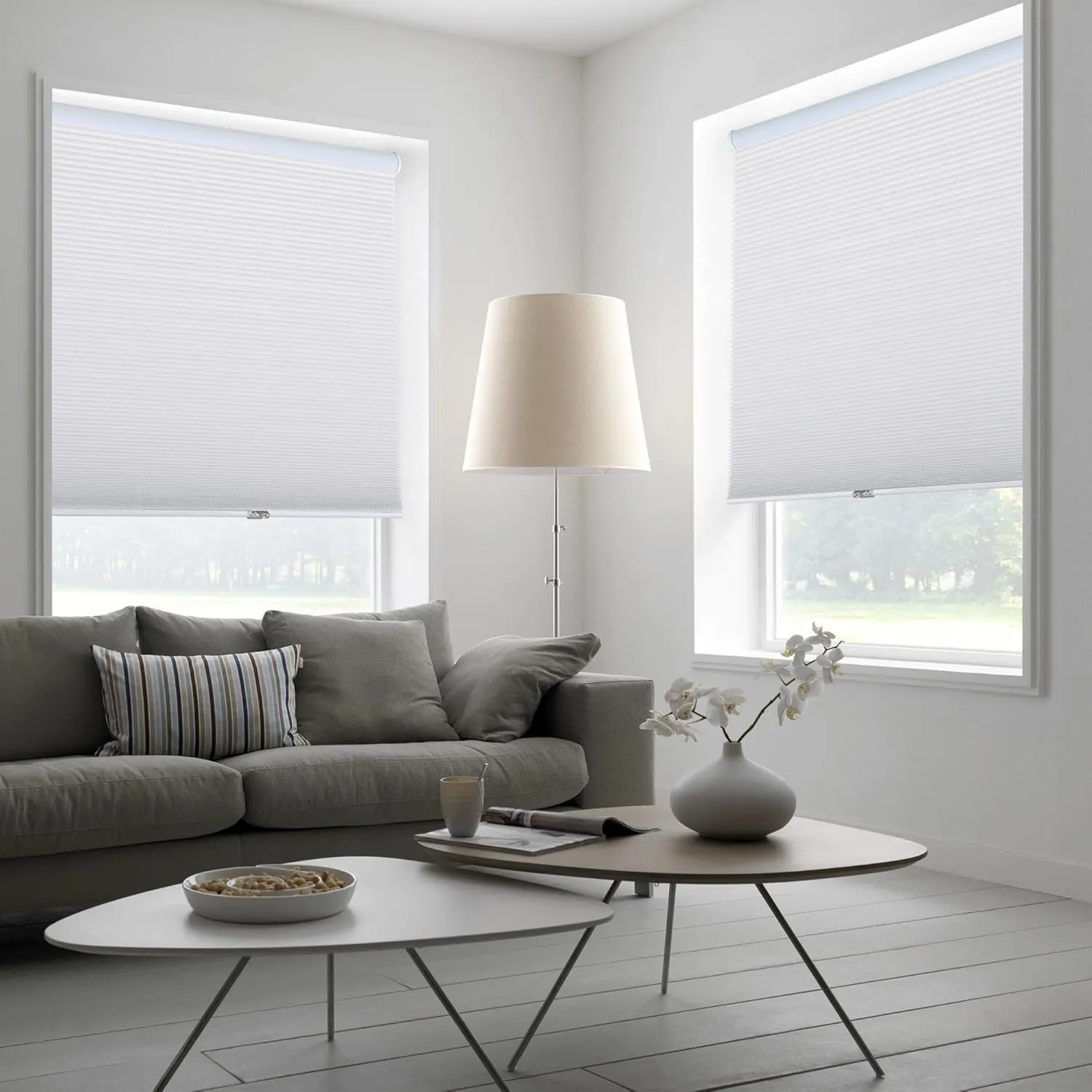Homebox Cordless 100% Blackout Cellular Shades for Home,Shades for Indoor Windows, Honeycomb Blinds 30" W x 72" H White