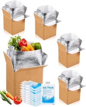 Honoson 4 Pack Insulated Shipping Box with Aluminum Foil Liner and Reusable Ice Pack for Shipping Reusable Cold Pack Shipping Container for Hot Frozen Food Shipper Cooler Box for Mailing Moving