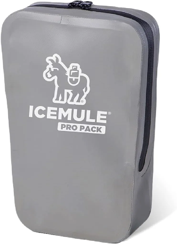 ICEMULE Pro Accessory Storage Pouch – Water Resistant, Travel Sized, Camping Accessory Storage Pouch and Dry Bag, Perfect for Hiking, Camping, and Beach-Going, Grey