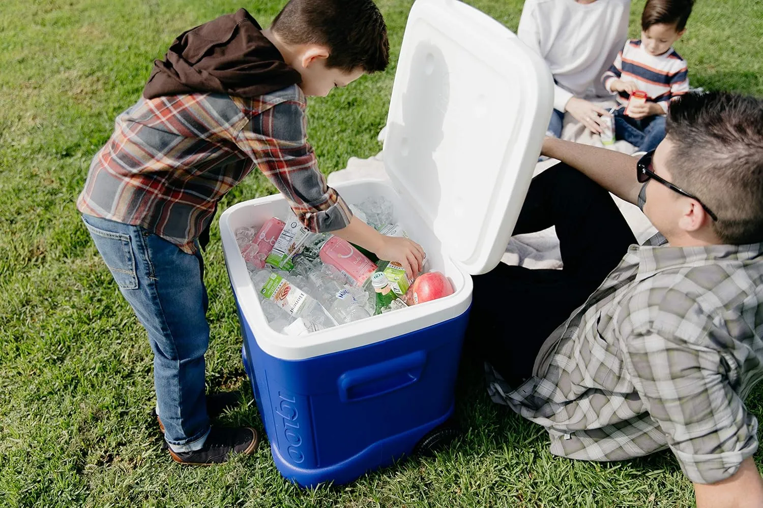 IGLOO Ice Cube Wheeled Roller Cooler