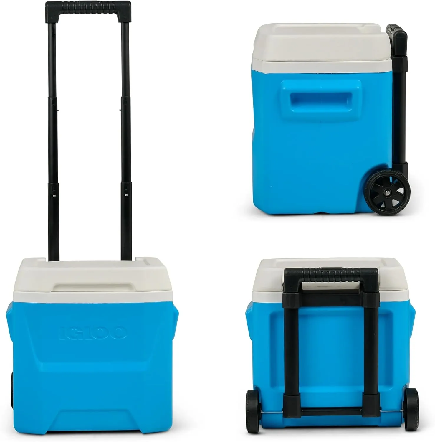 Igloos Cooler Hard-Sided Ice Chest, Insulated Portable Cooler, Heavy-Duty, Leak-Resistant Lid, Lightweight Ergonomic Handle