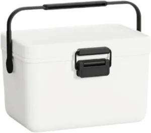 Insulated Cooler Box Cold/Heat Preservation Cooler Ice Chest Small Container for Household Shipping Food Sports Drink Fishing
