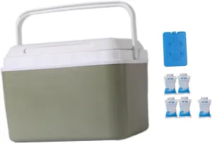 Insulated Cooler Case Ice Box Ice Retention Cooler Small Ice Chest for Barbecue Boat, 6L