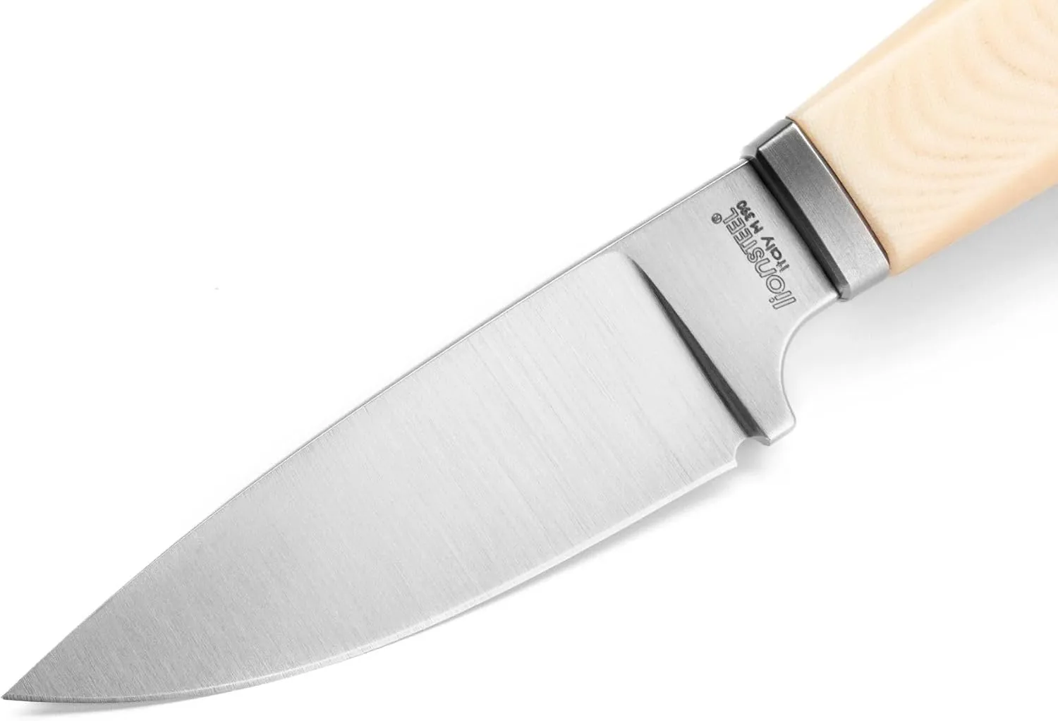 LionSTEEL WILLY Compact EDC Fixed Blade Knife, Solid Handle Construction, Titanium Guard, M390 Steel Blade, Made in Italy