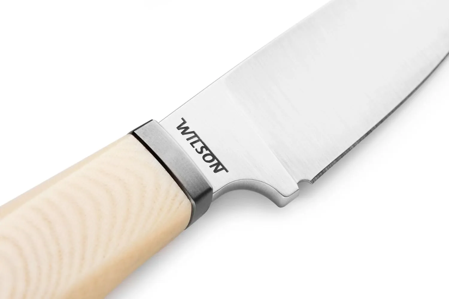 LionSTEEL WILLY Compact EDC Fixed Blade Knife, Solid Handle Construction, Titanium Guard, M390 Steel Blade, Made in Italy