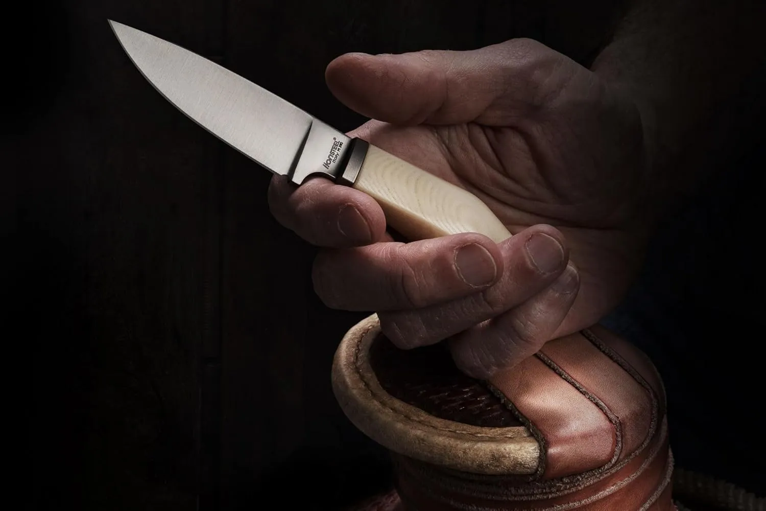 LionSTEEL WILLY Compact EDC Fixed Blade Knife, Solid Handle Construction, Titanium Guard, M390 Steel Blade, Made in Italy
