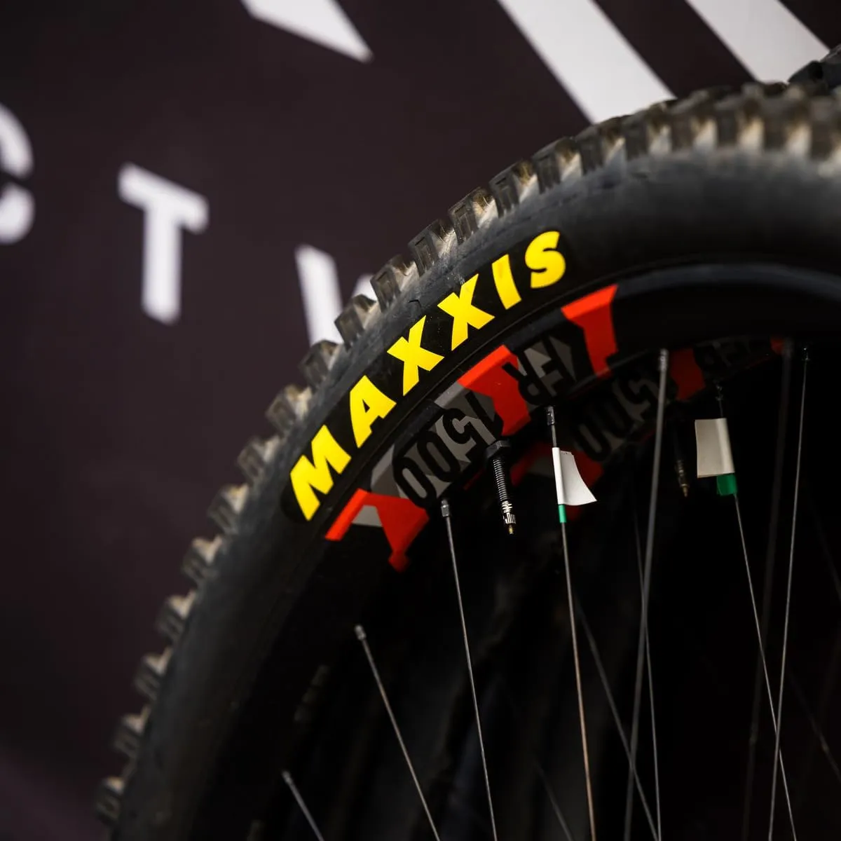 Maxxis Unisex Minion Dhfpl Folding Dual Compound Exo/Tr Tyre
