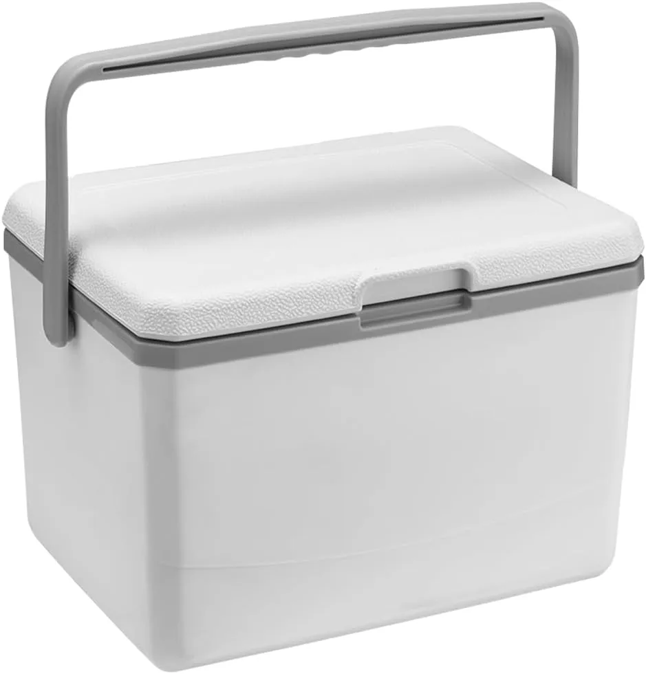 Mini Insulated Hard Cooler Lunch Box, 5 Quart Small Cooler with Handle, Portable Ice Retention Cooler Lunch Boxes for Camping, Picnic, Beach
