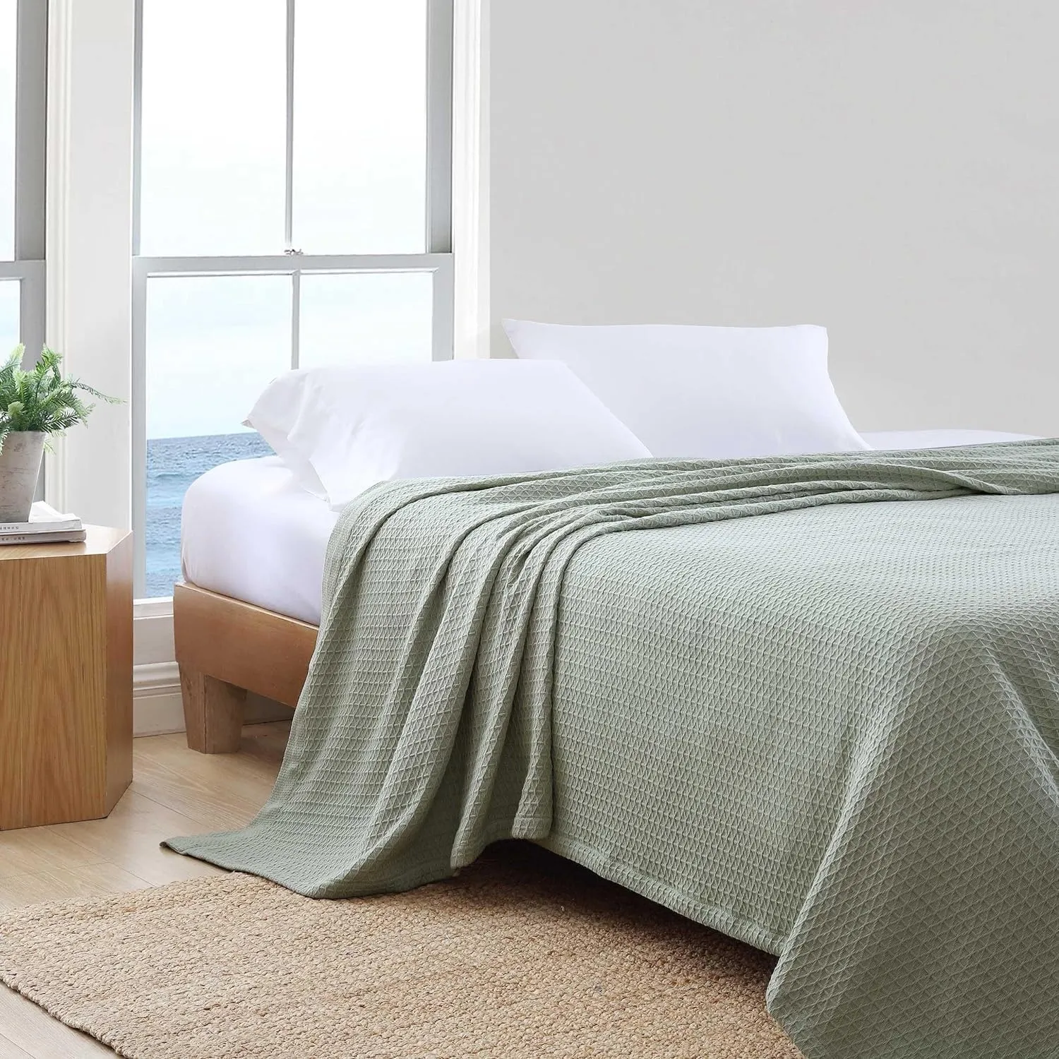 Nautica - Twin Blanket, Cotton Diamond Weave Bedding, Medium-Weight for All Seasons, Ideal Dorm Essentials, Oeko-Tex Certified (Baird Sage Green)
