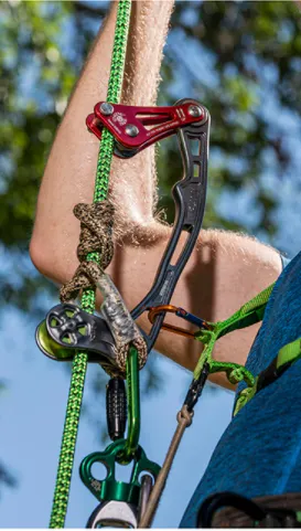 Notch Fusion Rope Wrench Tether