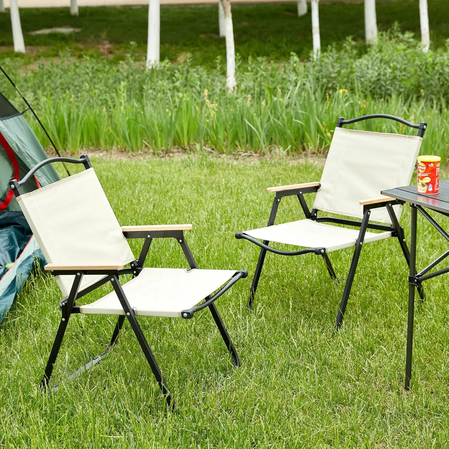 Patio Furniture Conversation Sets,Folding Outdoor Chair for Indoor, Outdoor Camping, Picnics, Beach,Backyard, BBQ, Party, Patio (2PCS Beige Chairs)
