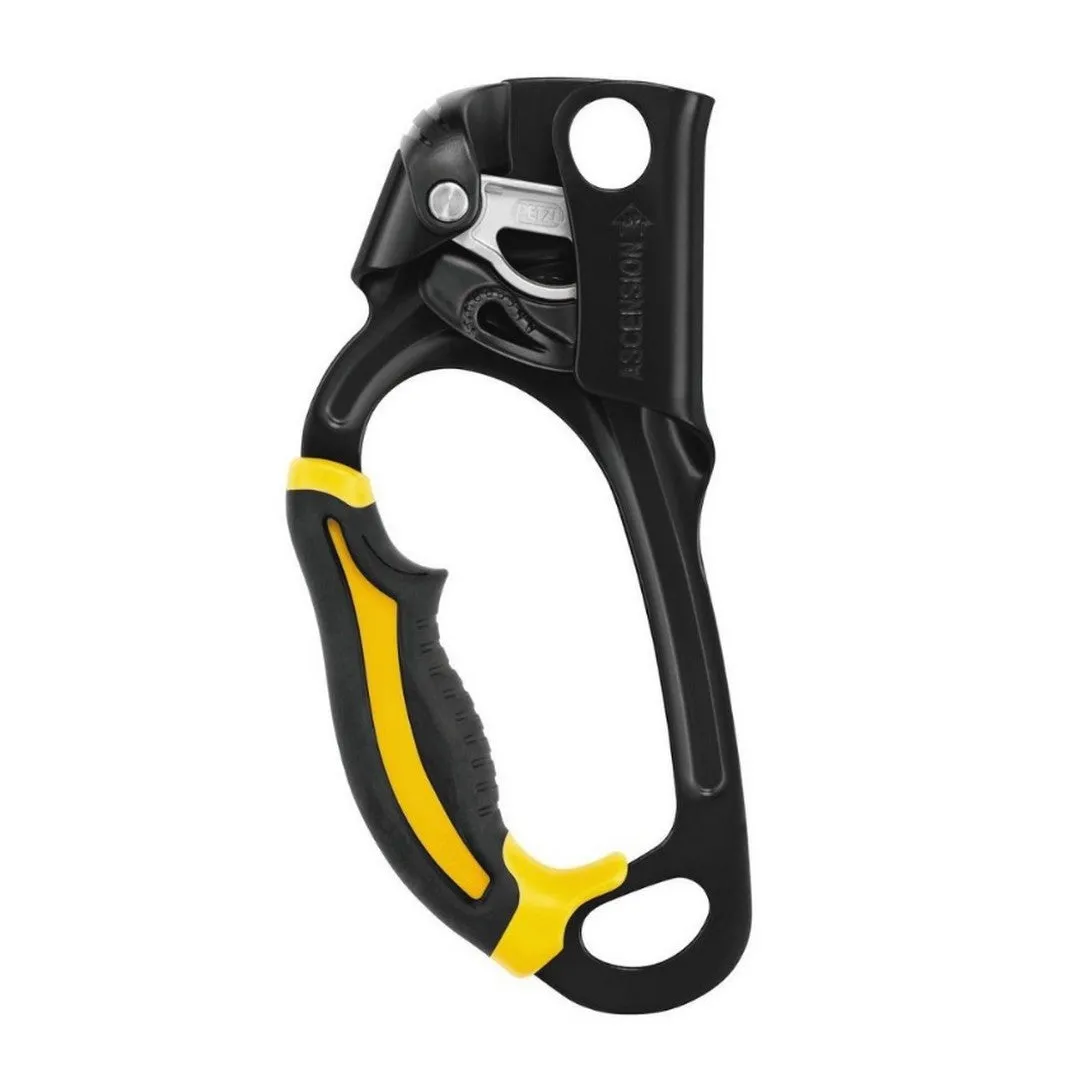 Petzl Ascension Climbing Ascender