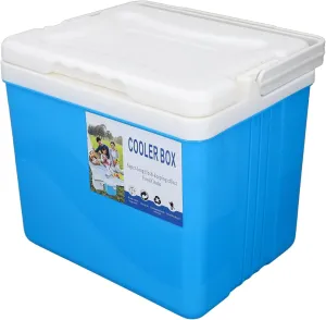 Portable Cooler Box, Insulated Hard Shell Cooler Box 6L for Picnic