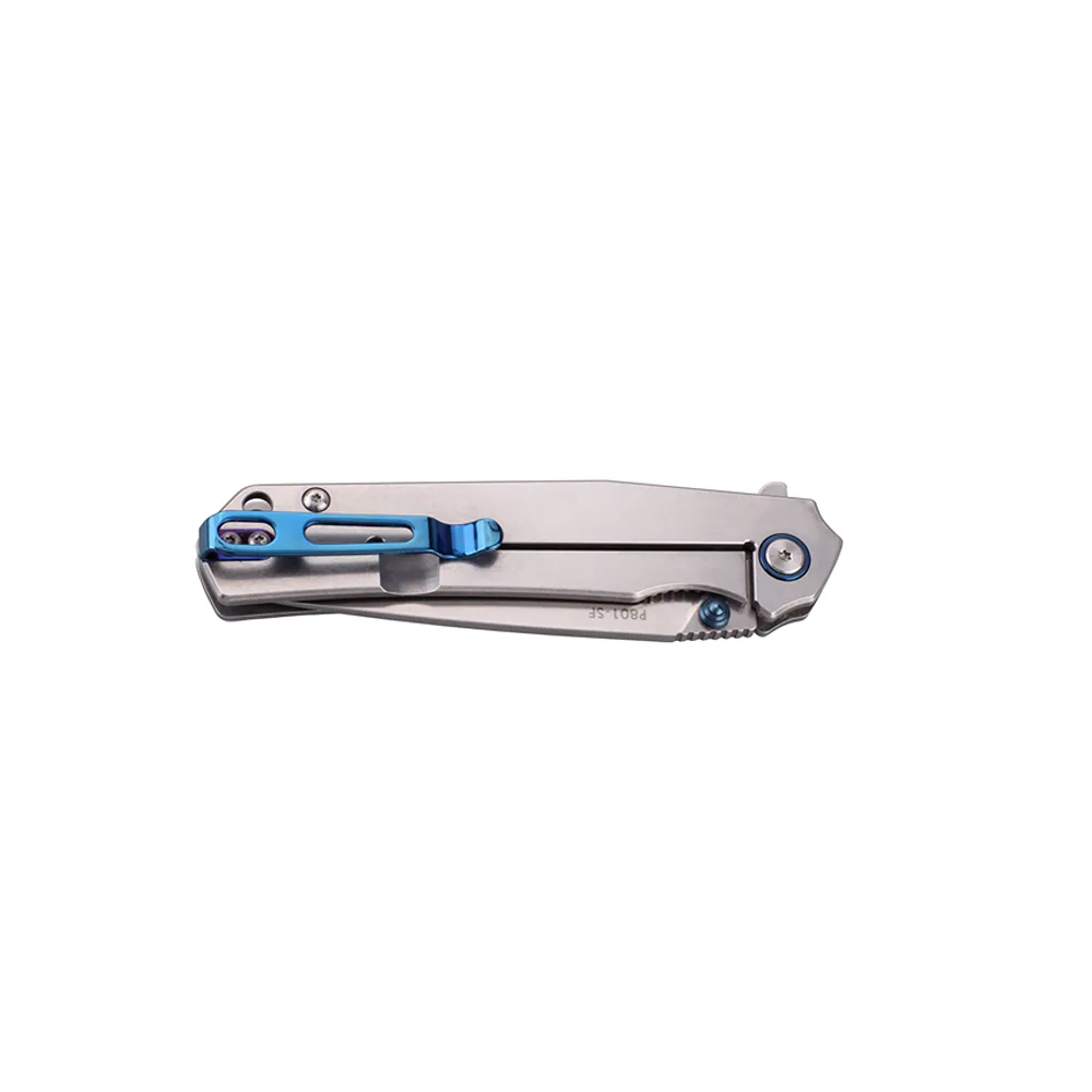 Ruike Knives P801-SF Flipper Folding Knife (Stainless)
