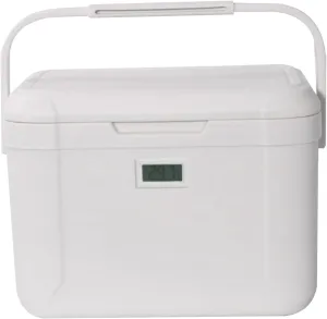 Small Cooler,5.3 Qt Picnic Cooler – Coolbox Keeps Contents Cool – Outdoor Cooler – Portable Cooler for Picnics, Grill, Camping for Home