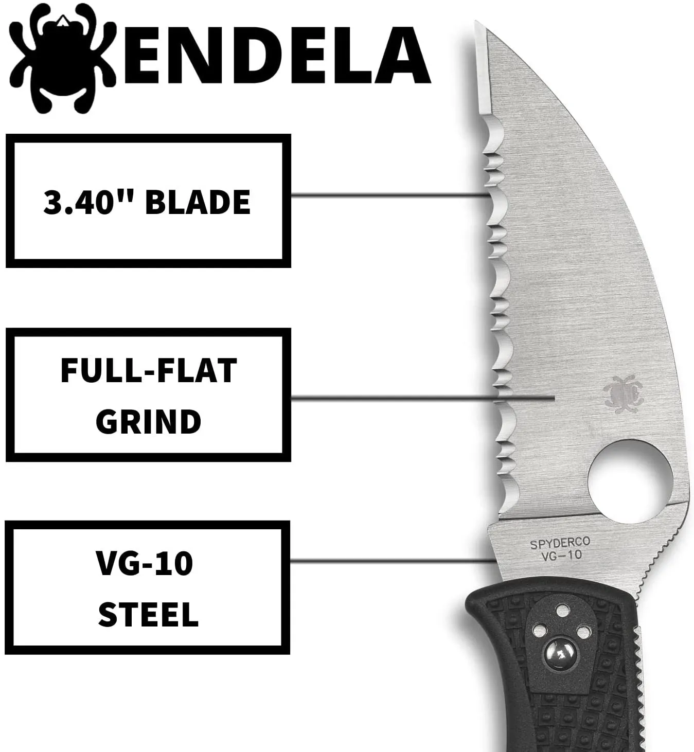 Spyderco Endela Signature Series Knife with Wharncliffe VG-10 Blade and Non-Slip Bi-Directional FRN Handle - C243