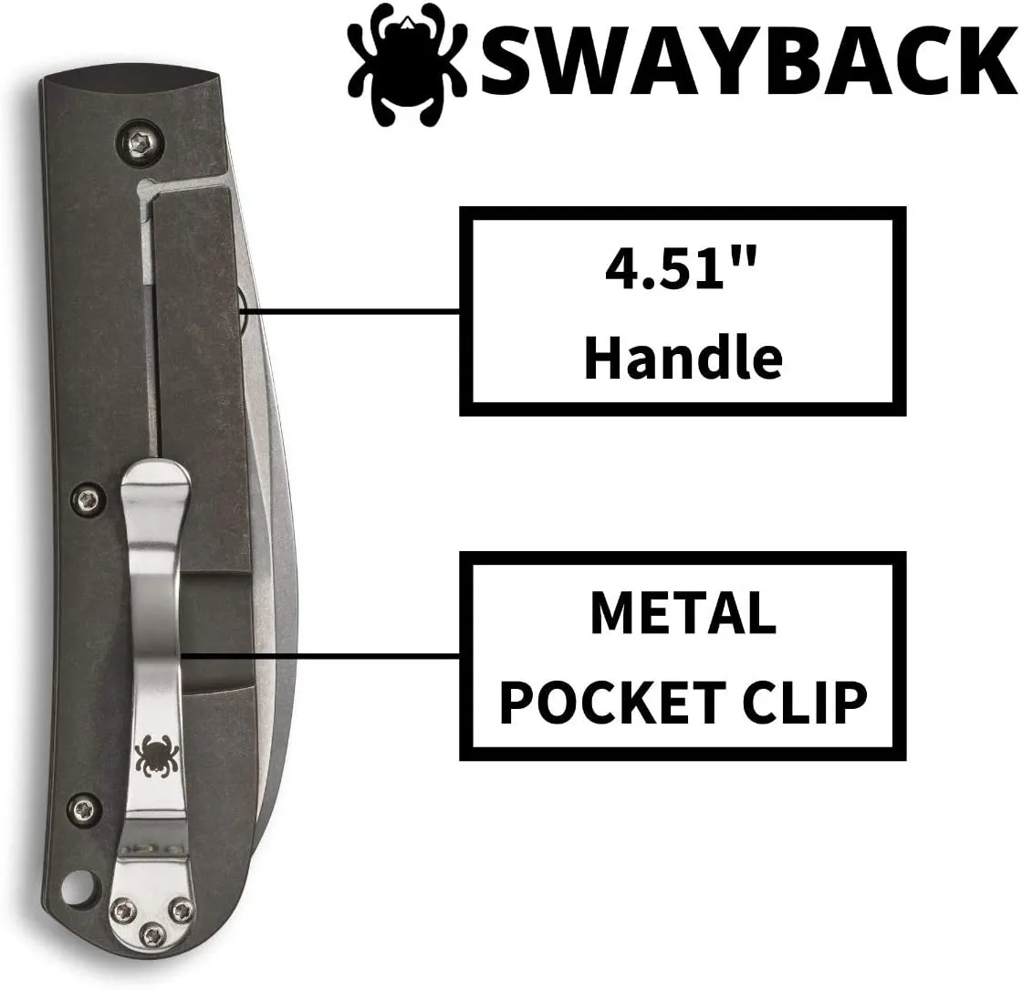 Spyderco SwayBack Plain Edge 3.55" Folding Pocket Knife (C249TIP)