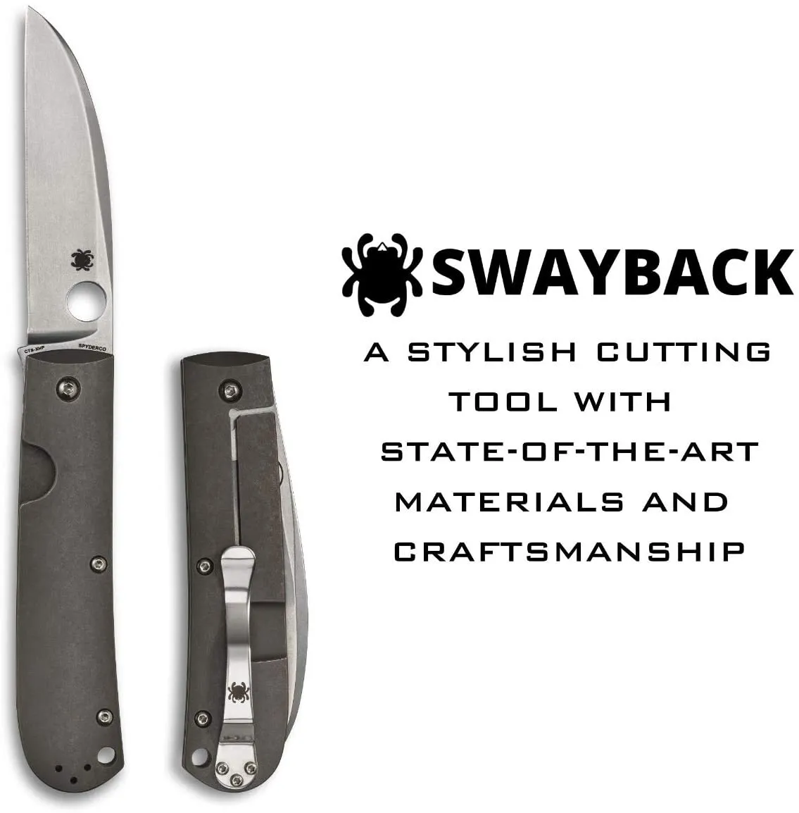 Spyderco SwayBack Plain Edge 3.55" Folding Pocket Knife (C249TIP)