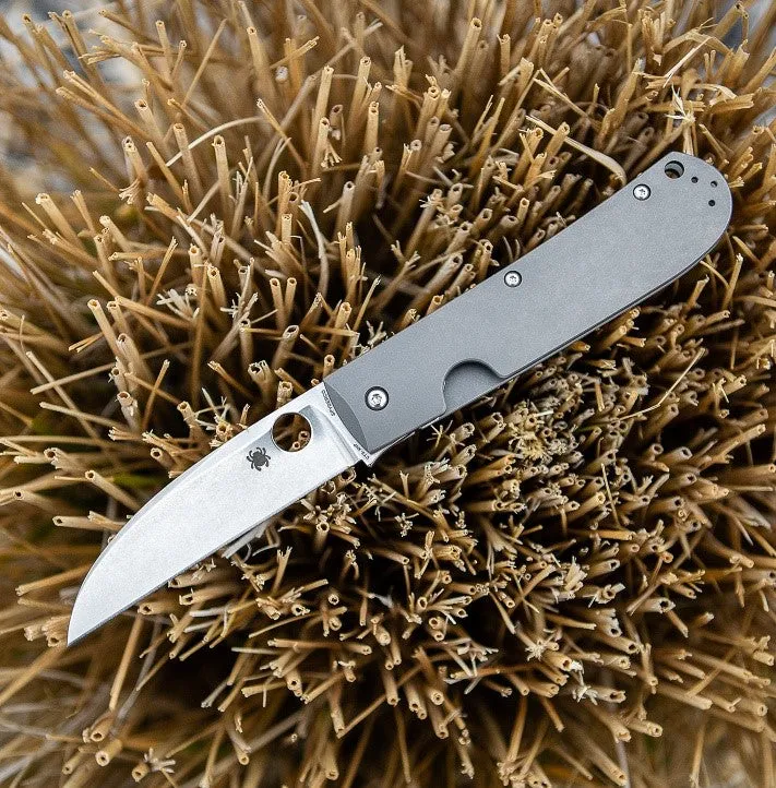 Spyderco SwayBack Plain Edge 3.55" Folding Pocket Knife (C249TIP)